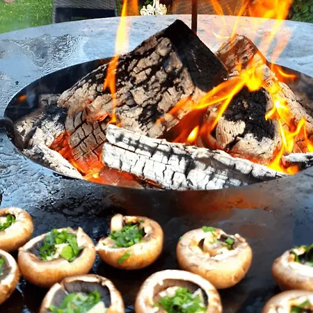 In Mit Grill, Terrasse Und Garten Brandenburg (Brandenburg an der Havel)